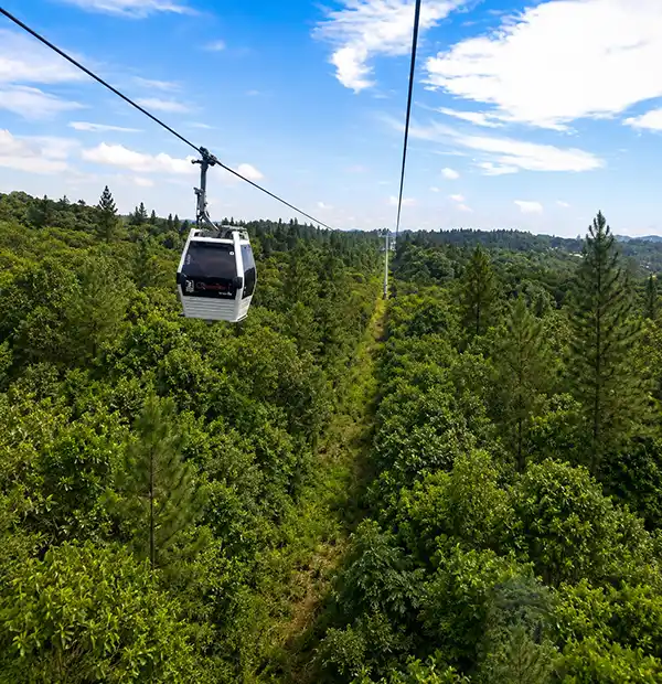 Parque Arví — Reserva natural de más de 1.700 hectáreas en las montañas sobre Medellín accesible en Metro y Metrocable desde la estaci. Atractivo turístico en Medellín, Antioquia, Colombia