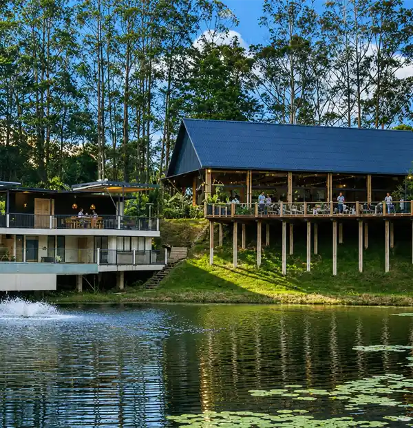 Monarch Campestre — Alojamiento campestre en los alrededores de El Carmen de Viboral con vistas al paisaje verde del Oriente Antioqueño. Esp. Hotel en El Carmen de Viboral, Antioquia, Colombia